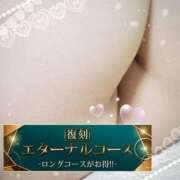 ヒメ日記 2025/04/14 14:45 投稿 本田【ほんだ】 丸妻 西船橋店