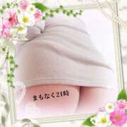 ヒメ日記 2025/04/16 20:45 投稿 本田【ほんだ】 丸妻 西船橋店