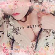 ヒメ日記 2025/04/17 17:59 投稿 本田【ほんだ】 丸妻 西船橋店