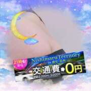 ヒメ日記 2025/04/18 20:00 投稿 本田【ほんだ】 丸妻 西船橋店