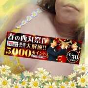 ヒメ日記 2025/04/24 12:32 投稿 本田【ほんだ】 丸妻 西船橋店