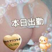 ヒメ日記 2025/04/24 13:01 投稿 本田【ほんだ】 丸妻 西船橋店