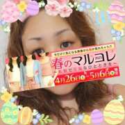 ヒメ日記 2025/04/27 09:00 投稿 本田【ほんだ】 丸妻 西船橋店