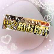 ヒメ日記 2025/04/27 11:02 投稿 本田【ほんだ】 丸妻 西船橋店