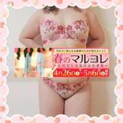 ヒメ日記 2025/04/28 09:00 投稿 本田【ほんだ】 丸妻 西船橋店