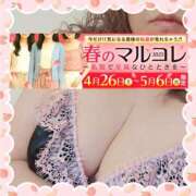 ヒメ日記 2025/04/29 09:00 投稿 本田【ほんだ】 丸妻 西船橋店