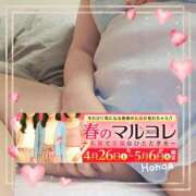 ヒメ日記 2025/04/30 09:00 投稿 本田【ほんだ】 丸妻 西船橋店