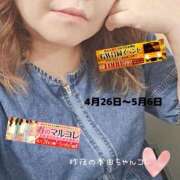 ヒメ日記 2025/05/04 14:35 投稿 本田【ほんだ】 丸妻 西船橋店