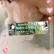 ヒメ日記 2025/06/10 11:30 投稿 本田【ほんだ】 丸妻 西船橋店