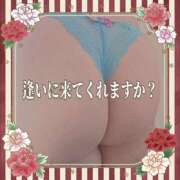 ヒメ日記 2025/06/21 12:41 投稿 本田【ほんだ】 丸妻 西船橋店