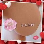 ヒメ日記 2025/07/14 17:19 投稿 本田【ほんだ】 丸妻 西船橋店