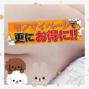 ヒメ日記 2025/08/15 09:37 投稿 本田【ほんだ】 丸妻 西船橋店