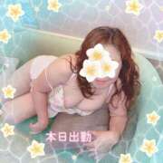 ヒメ日記 2025/08/19 17:50 投稿 本田【ほんだ】 丸妻 西船橋店