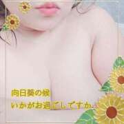 ヒメ日記 2025/08/20 14:32 投稿 本田【ほんだ】 丸妻 西船橋店