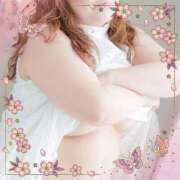 ヒメ日記 2025/09/05 12:05 投稿 本田【ほんだ】 丸妻 西船橋店