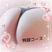 ヒメ日記 2025/09/22 13:03 投稿 本田【ほんだ】 丸妻 西船橋店