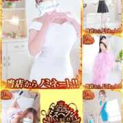 ヒメ日記 2025/10/16 11:05 投稿 本田【ほんだ】 丸妻 西船橋店