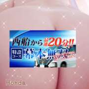 ヒメ日記 2025/10/25 11:04 投稿 本田【ほんだ】 丸妻 西船橋店