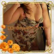 ヒメ日記 2025/11/05 11:48 投稿 本田【ほんだ】 丸妻 西船橋店