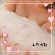 ヒメ日記 2025/11/14 14:04 投稿 本田【ほんだ】 丸妻 西船橋店