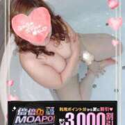 ヒメ日記 2025/11/15 18:05 投稿 本田【ほんだ】 丸妻 西船橋店