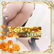 ヒメ日記 2025/11/22 13:05 投稿 本田【ほんだ】 丸妻 西船橋店