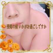 ヒメ日記 2025/11/25 13:24 投稿 本田【ほんだ】 丸妻 西船橋店