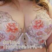 ヒメ日記 2025/12/08 10:04 投稿 本田【ほんだ】 丸妻 西船橋店