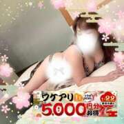 ヒメ日記 2026/01/19 11:03 投稿 本田【ほんだ】 丸妻 西船橋店