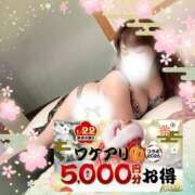 ヒメ日記 2026/01/22 17:39 投稿 本田【ほんだ】 丸妻 西船橋店