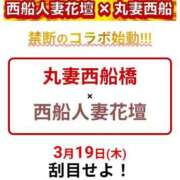 ヒメ日記 2026/03/11 19:43 投稿 本田【ほんだ】 丸妻 西船橋店