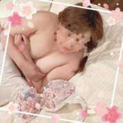 ヒメ日記 2026/04/07 15:39 投稿 本田【ほんだ】 丸妻 西船橋店