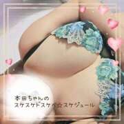 ヒメ日記 2026/05/04 12:22 投稿 本田【ほんだ】 丸妻 西船橋店
