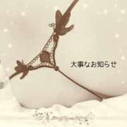 ヒメ日記 2026/05/13 04:13 投稿 本田【ほんだ】 丸妻 西船橋店