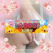 ヒメ日記 2026/05/23 11:43 投稿 本田【ほんだ】 丸妻 西船橋店