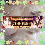 ヒメ日記 2026/05/24 15:04 投稿 本田【ほんだ】 丸妻 西船橋店