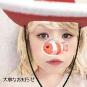 ヒメ日記 2026/05/27 14:06 投稿 本田【ほんだ】 丸妻 西船橋店