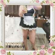 ヒメ日記 2026/05/28 14:13 投稿 本田【ほんだ】 丸妻 西船橋店