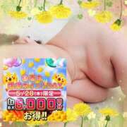 ヒメ日記 2026/05/28 20:54 投稿 本田【ほんだ】 丸妻 西船橋店