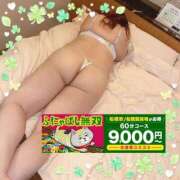 ヒメ日記 2026/06/02 10:08 投稿 本田【ほんだ】 丸妻 西船橋店