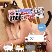 ヒメ日記 2026/06/10 19:38 投稿 本田【ほんだ】 丸妻 西船橋店