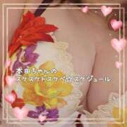 ヒメ日記 2026/06/17 19:05 投稿 本田【ほんだ】 丸妻 西船橋店
