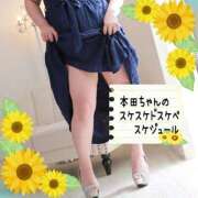 ヒメ日記 2026/07/28 12:10 投稿 本田【ほんだ】 丸妻 西船橋店