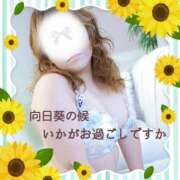 ヒメ日記 2026/08/08 23:03 投稿 本田【ほんだ】 丸妻 西船橋店
