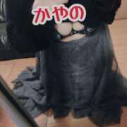 ヒメ日記 2025/04/10 01:33 投稿 かやの ぷるるん小町日本橋店