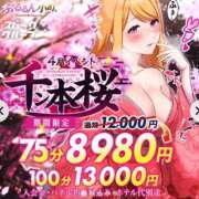 ヒメ日記 2025/04/25 13:02 投稿 かやの ぷるるん小町日本橋店