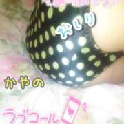 かやの 本日✨ ぷるるん小町日本橋店