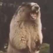 ヒメ日記 2025/03/23 12:50 投稿 てまり 日本橋・谷九サンキュー