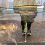 ヒメ日記 2025/04/18 17:27 投稿 てまり 日本橋・谷九サンキュー