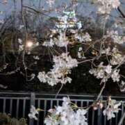 ヒメ日記 2026/03/31 01:57 投稿 みなみ 日本橋・谷九サンキュー